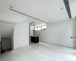 Shamrock Park (D10), Terrace #500355401